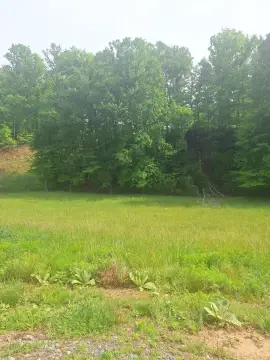 Morganton, GA Vacant Mountain Lot