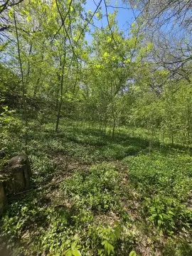 Waterfront Lot on Nippersink Channel