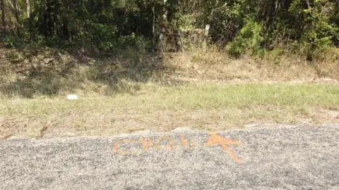 Residential Lot in Wooded Area