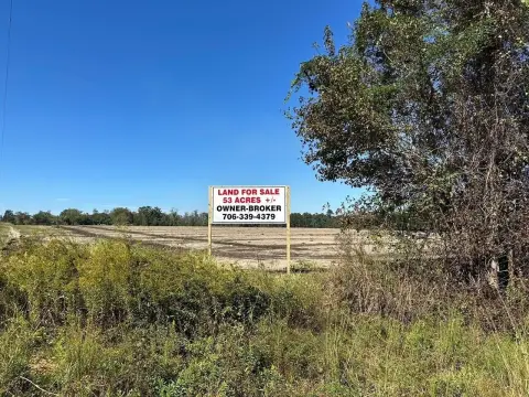 53.23 Acres Near Interstate 16