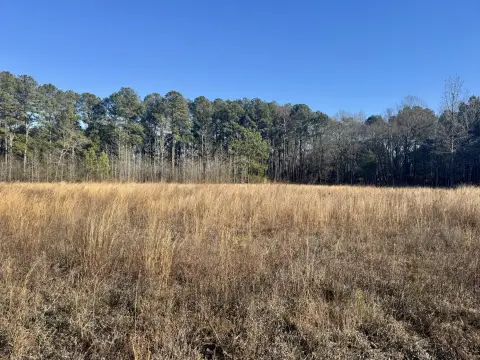 Versatile Land in Eastover, SC