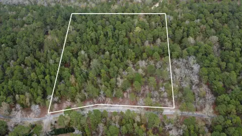 Wooded Acreage in Edisto Lake