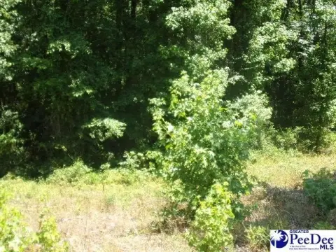 Residential Land in Hartsville, SC
