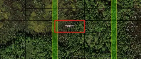 Polk City Acreage for Recreation