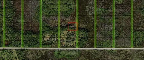 Two Acre Polk City Land