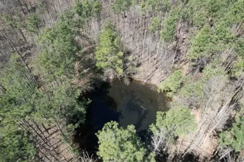 Unimproved Land Near Marshall, Texas