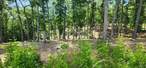 Residential Lot in Gated Community