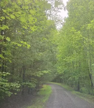 Blue Ridge Vacant Lot