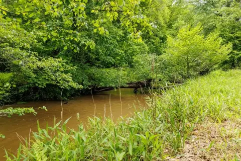 Creek Front Lot in Blue Ridge