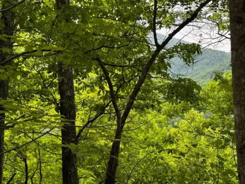 Hayesville Wooded Lot For Sale