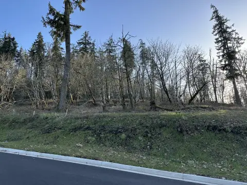 Residential Lot Near Moon Mountain