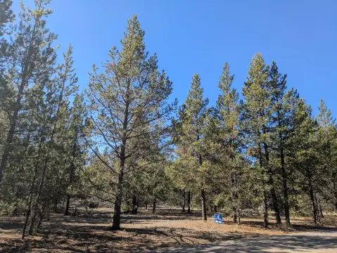 La Pine Treed Land Parcel