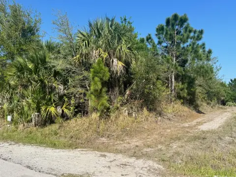 Residential Lot in Palm Bay