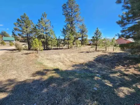 Buildable Lot in Pagosa Springs
