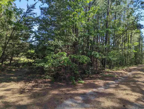 Camden, AR Commercial Lot