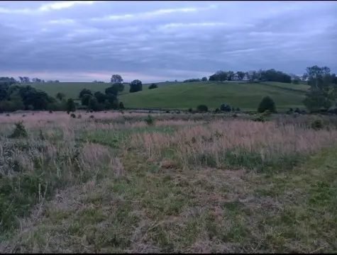 Road-Fronted Agricultural Land Parcel
