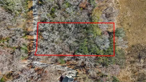 Wooded Residential Lot in Brooksville