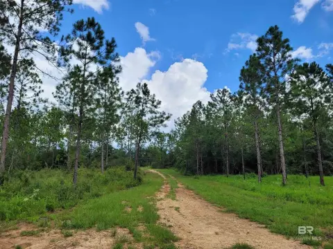 Unzoned Waterfront Land with Pond