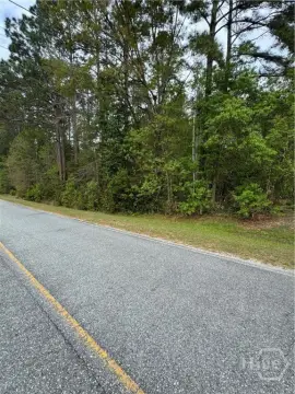 Rincon, GA Acreage for Home