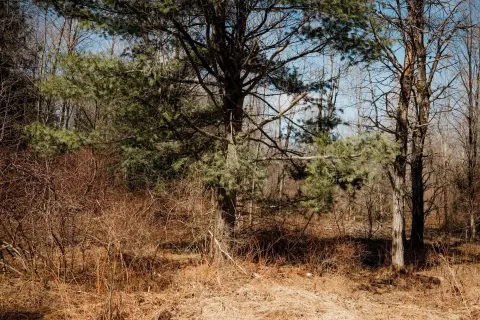 Union City Vacant Land Opportunity