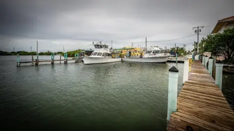 Seafood Business Opportunity in Conch