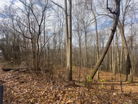 Unrestricted Mountain-View Land