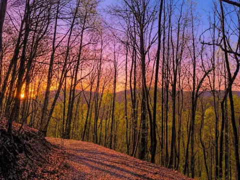 29 Acres Mountain View Property