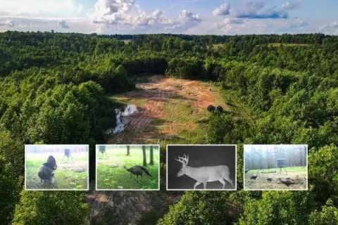 Hunting Land with Established Food Plots