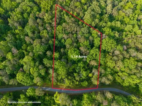 Ellijay, GA Vacant Lot
