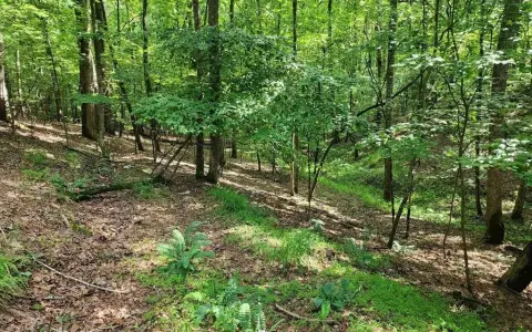 Homesite in Gated Community