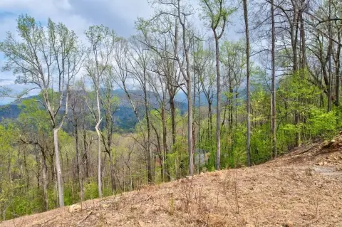 Ellijay Vacant Lot in Greystone