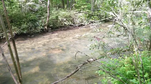 Land on Hanging Dog Creek