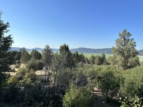 Homesite in Running Y Resort