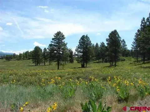 Residential Lot Backing National Forest