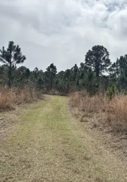 Polk City Acreage for Sale