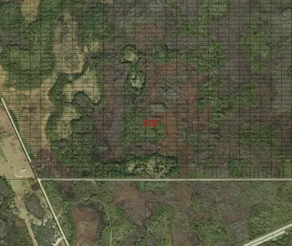 Polk City Acreage for Sale