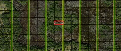 Polk City Acreage for Sale