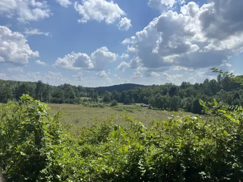 Fenced Agricultural Land with Woods