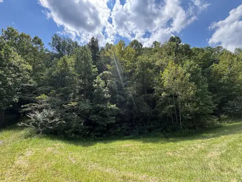 Wooded Land Tract