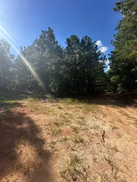 Mixed-Timber Hunting Land