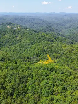 Mountain Hunting Land