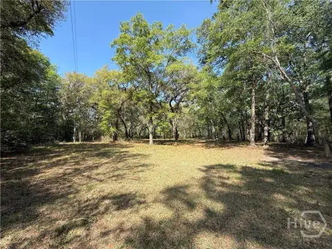 Rincon, GA Land Opportunity