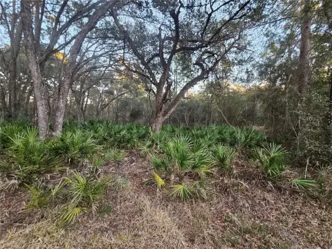 Residential Land in Webster, Florida
