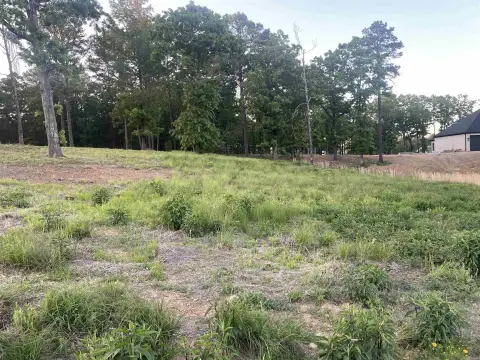 Conway Homesite with Vista View