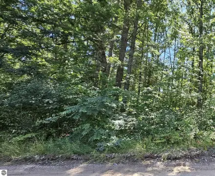 Vacant Wooded Lot in Fife