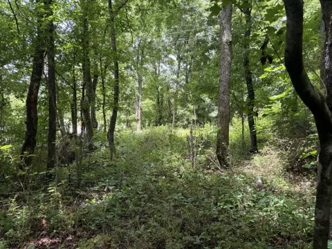Buildable Corner Homesite