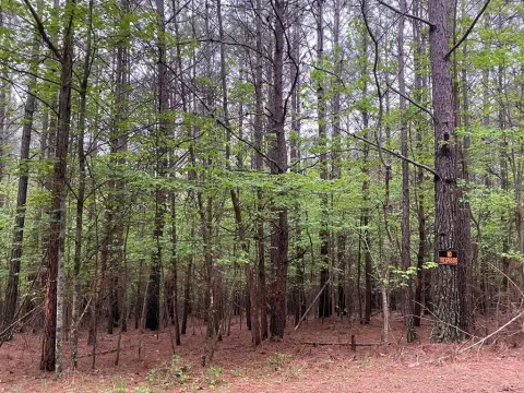 2.74 Acres in Mineral Bluff, GA