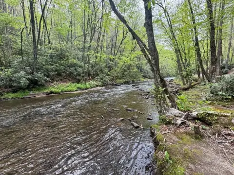 Hayesville Waterfront Land with Structures
