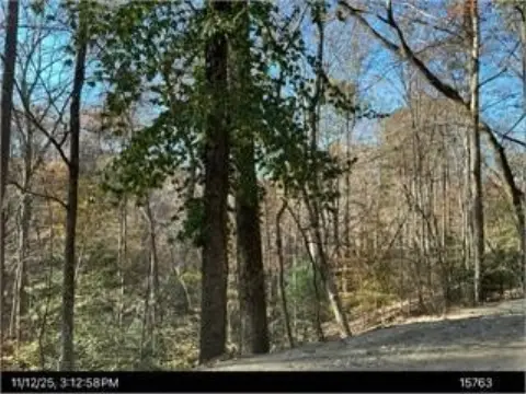 Ellijay Vacant Lot in Resort