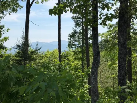 Ready-to-Build Lot with Mountain Views